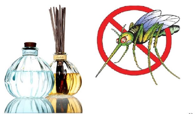 Top 9 biện pháp phòng và tiêu diệt muỗi nhanh chóng bảo vệ trẻ nhỏ