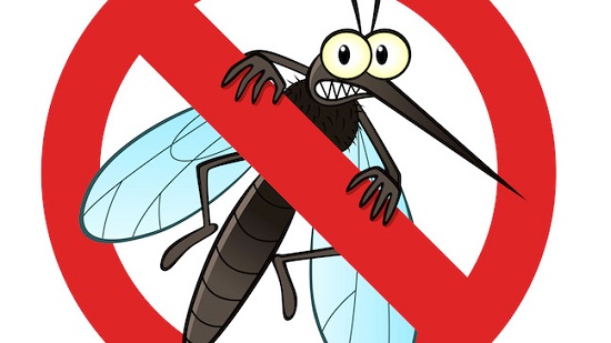 Hướng dẫn làm bẫy bắt muỗi đơn giản cực hiệu quả tại nhà