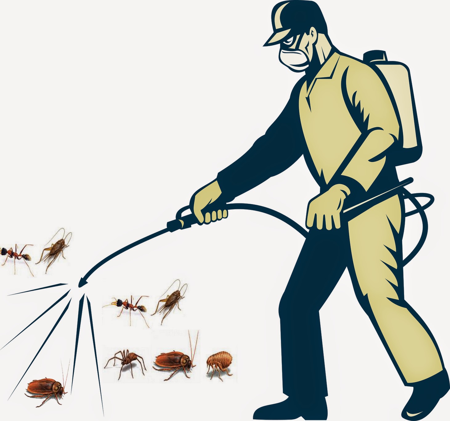 Hướng dẫn phun thuốc diệt muỗi đúng cách an toàn cho sức khỏe gia đình