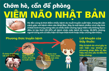 4 căn bệnh nguy hiểm cho người do tác nhân muỗi và biện pháp tiêu diệt