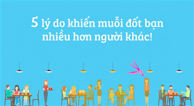 5 lý do khiến bạn bị muỗi đốt - Biện pháp tiêu diệt đơn giản, hiệu quả