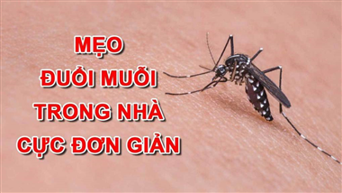 Một số mẹo đuổi muỗi đơn giản có thể thực hiện tại nhà