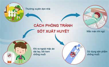 Tại sao nên phun thuốc diệt muỗi khi dịch sốt xuất huyết xảy ra