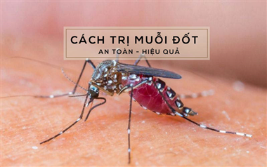 Tư vấn cách trị muỗi đốt trên da mặt cho trẻ trên nguyên liệu dễ tìm